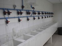 Diálisis San José Chimbarongo Diálisis San José Chimbarongo